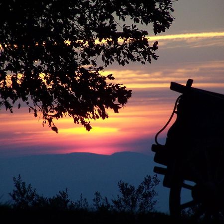 Agriturismo Le Vigne Φολίνιο Εξωτερικό φωτογραφία