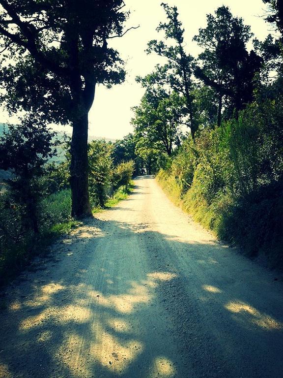 Agriturismo Le Vigne Φολίνιο Εξωτερικό φωτογραφία